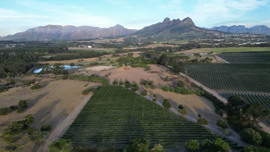 7 Bedroom Property for Sale in Stellenbosch Farms Western Cape